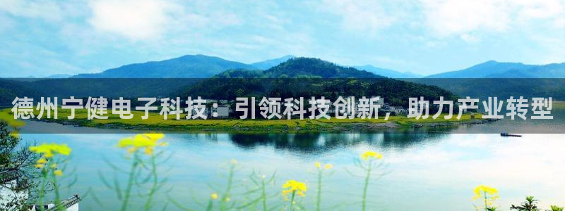 德州宁健电子科技：引领科技创新，助力产业转型
