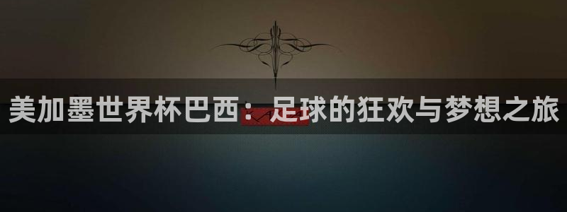 美加墨世界杯巴西：足球的狂欢与梦想之旅