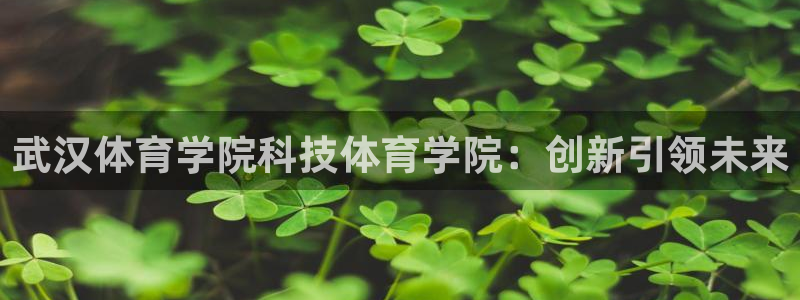 武汉体育学院科技体育学院：创新引领未来