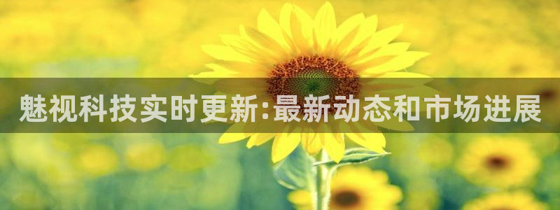 魅视科技实时更新:最新动态和市场进展