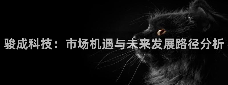 骏成科技：市场机遇与未来发展路径分析