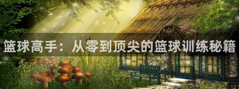 篮球高手：从零到顶尖的篮球训练秘籍