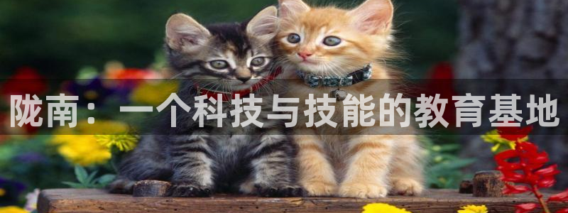 陇南：一个科技与技能的教育基地