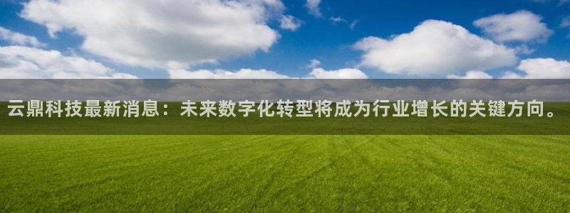 云鼎科技最新消息：未来数字化转型将成为行业增长的关键方向。