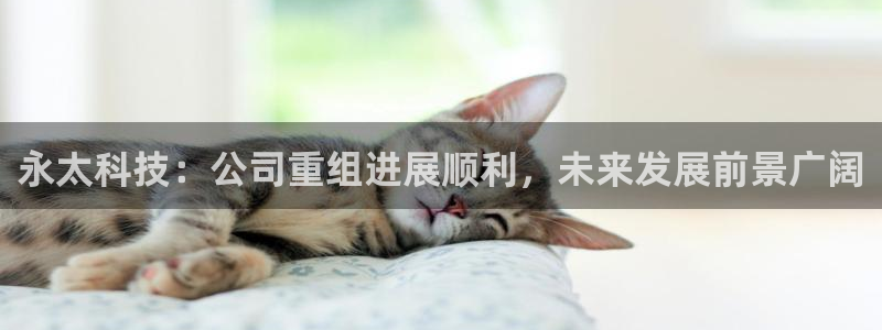 永太科技：公司重组进展顺利，未来发展前景广阔