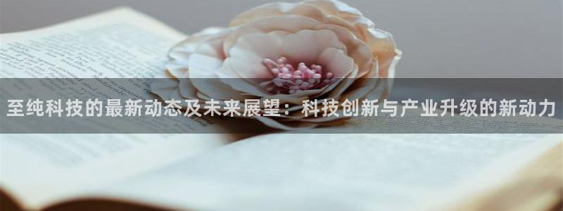 至纯科技的最新动态及未来展望：科技创新与产业升级的新动力