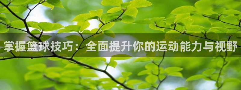 掌握篮球技巧：全面提升你的运动能力与视野