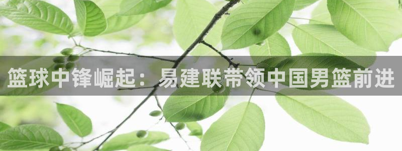 篮球中锋崛起：易建联带领中国男篮前进