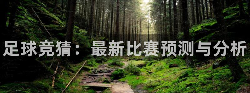 足球竞猜：最新比赛预测与分析