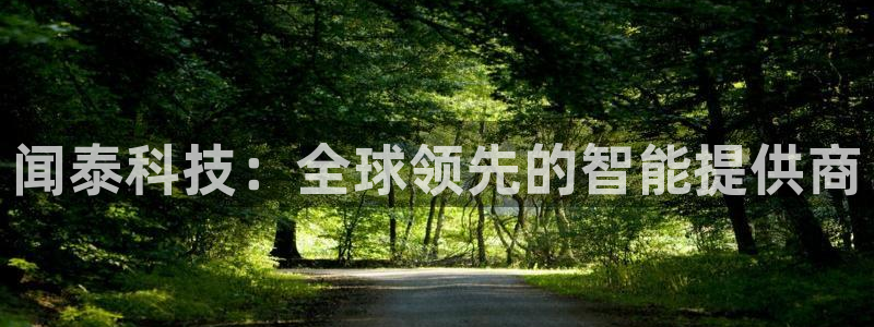 闻泰科技：全球领先的智能提供商