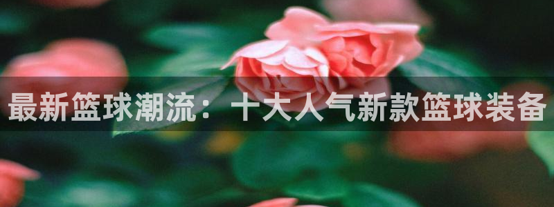 最新篮球潮流：十大人气新款篮球装备