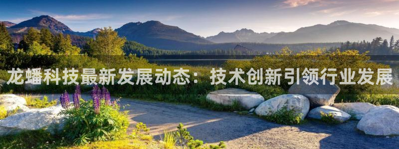 龙蟠科技最新发展动态：技术创新引领行业发展