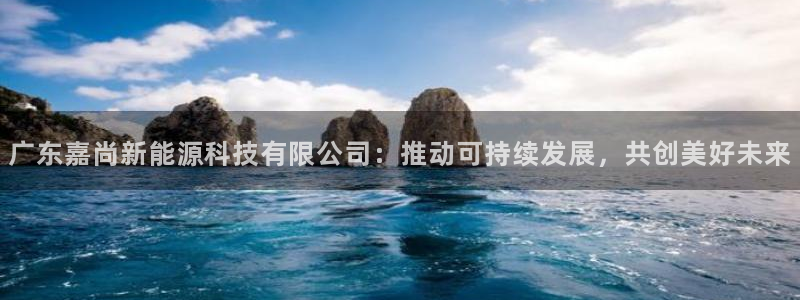 广东嘉尚新能源科技有限公司：推动可持续发展，共创美好未来