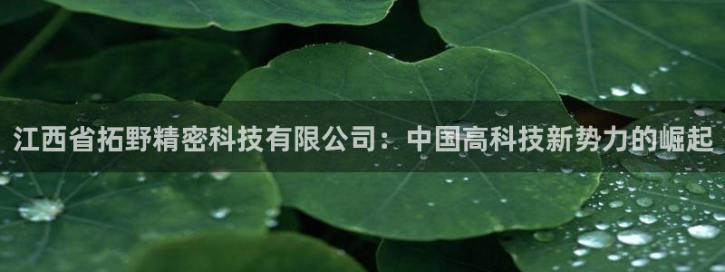 江西省拓野精密科技有限公司：中国高科技新势力的崛起