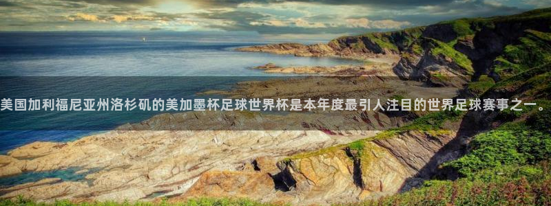 美国加利福尼亚州洛杉矶的美加墨杯足球世界杯是本年度最引人注目的世界足球赛事之一。