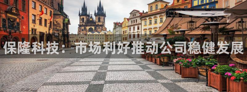保隆科技：市场利好推动公司稳健发展